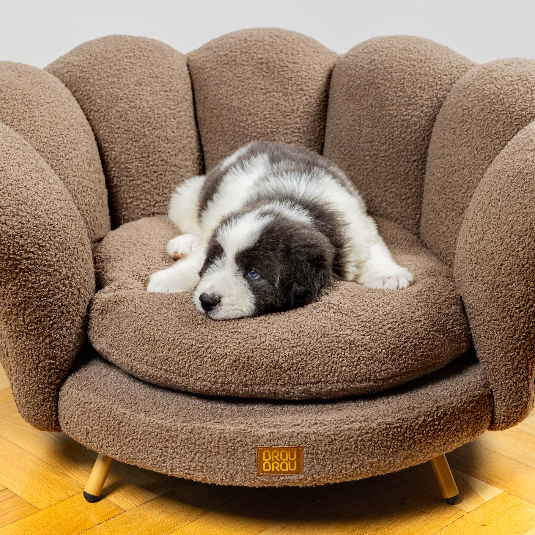 Canapele pentru Animale de Companie (Câini & Pisici)