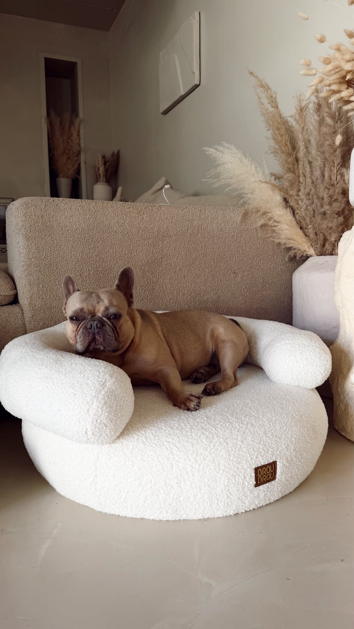 Beige Curved Sofa - Boucle Beige BRAUBRAU for Pets (Dogs and Cats)