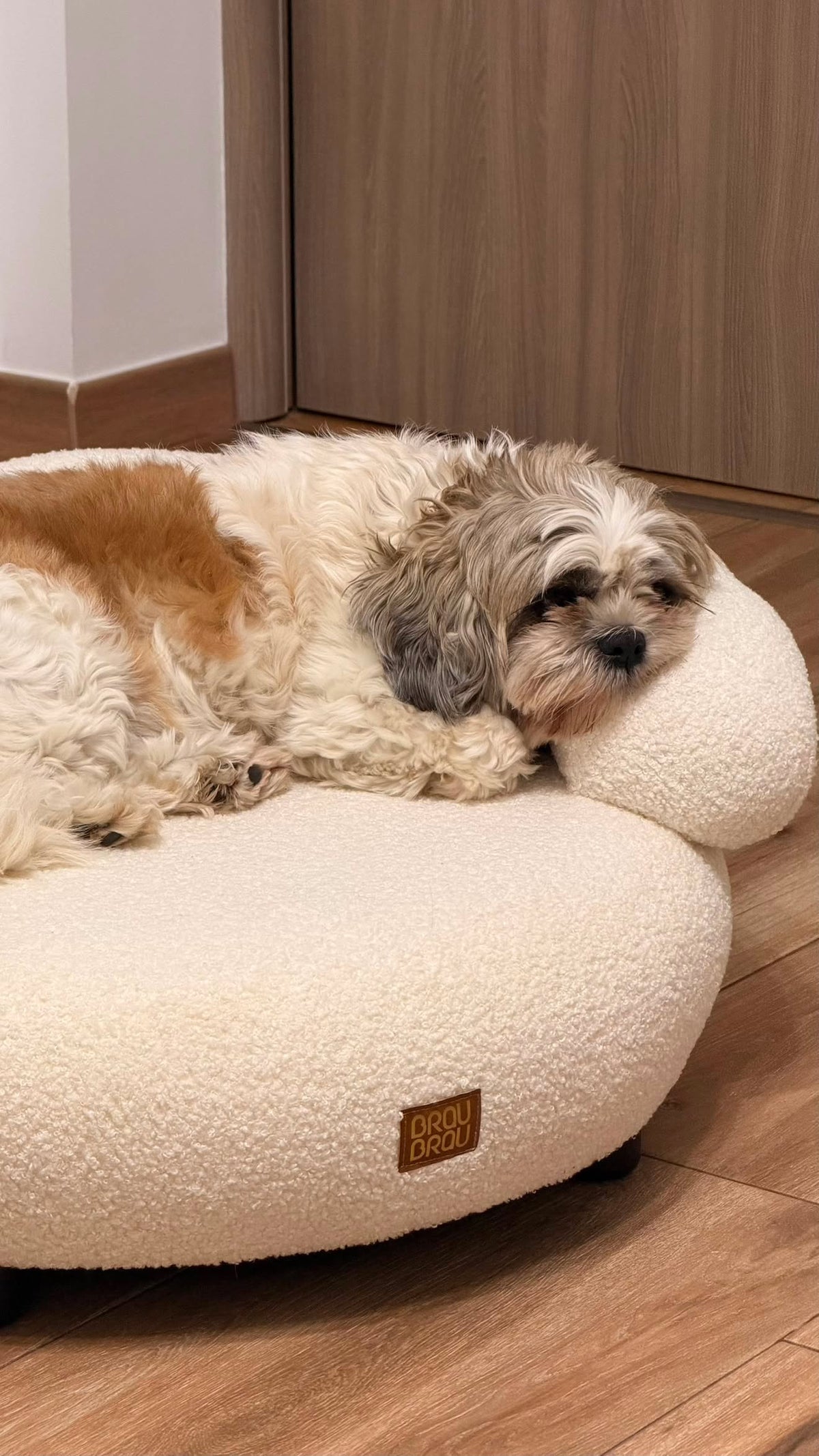 Beige Curved Sofa - Boucle Beige BRAUBRAU for Pets (Dogs and Cats)