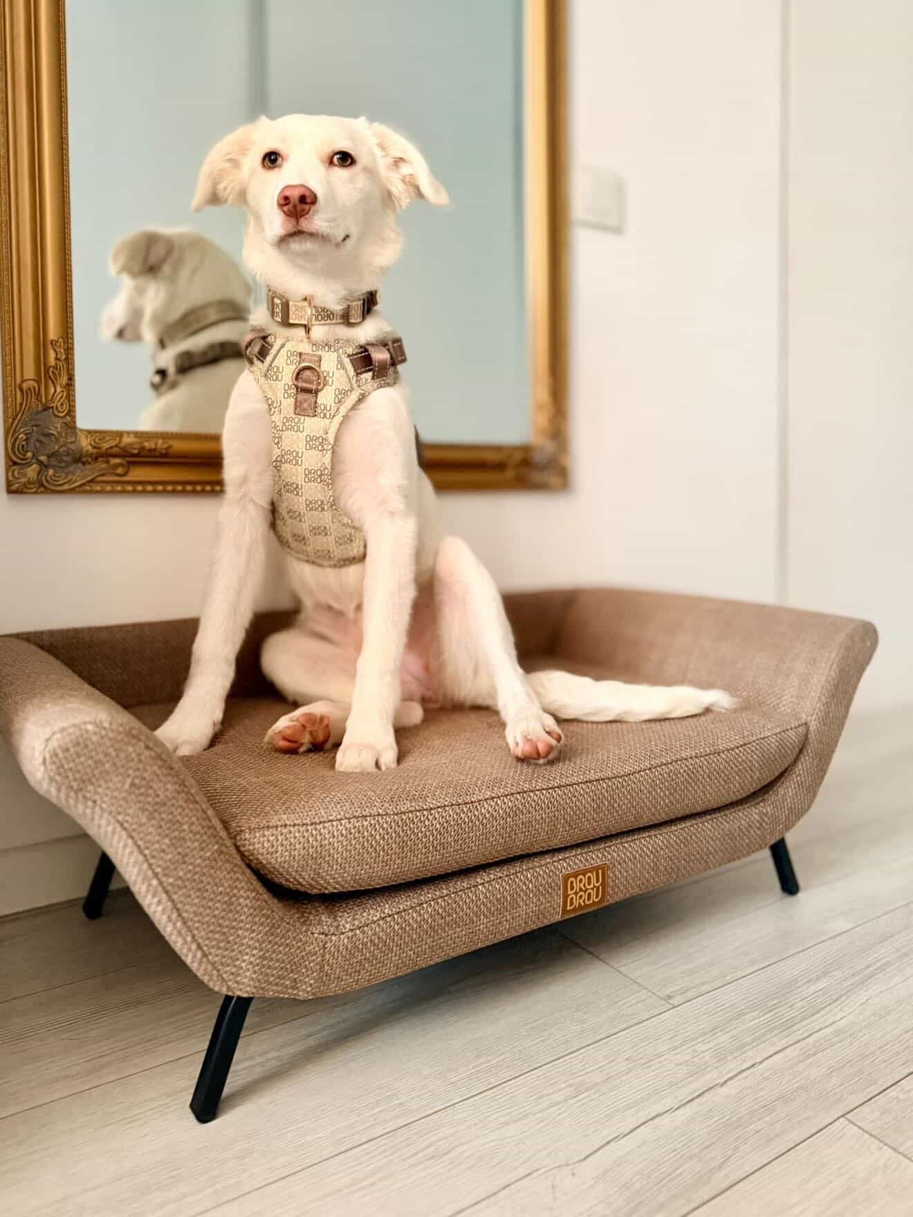Beige Sofa - Retro BRAUBRAU for Pets (Dogs and Cats)