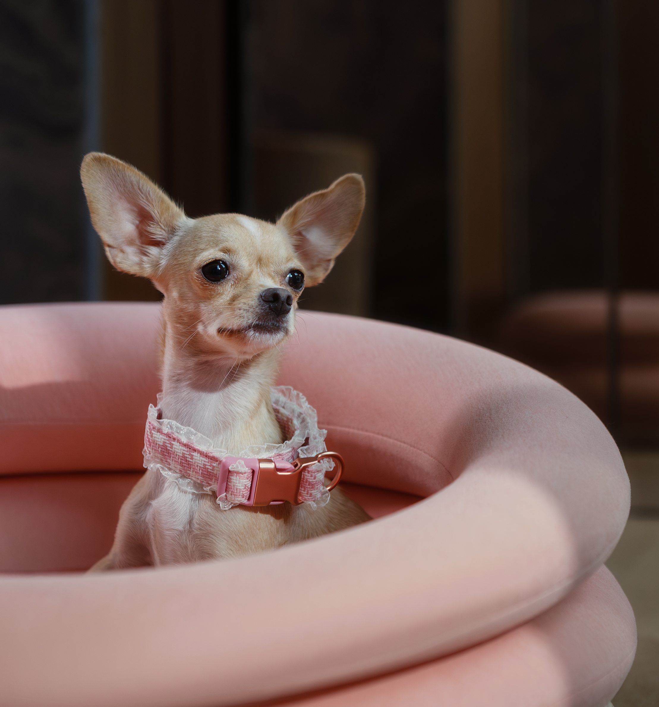 Canapea Premium Round Pink Pet Nest- BRAUBRAU pentru Animale de Companie (Câini și Pisici) 
