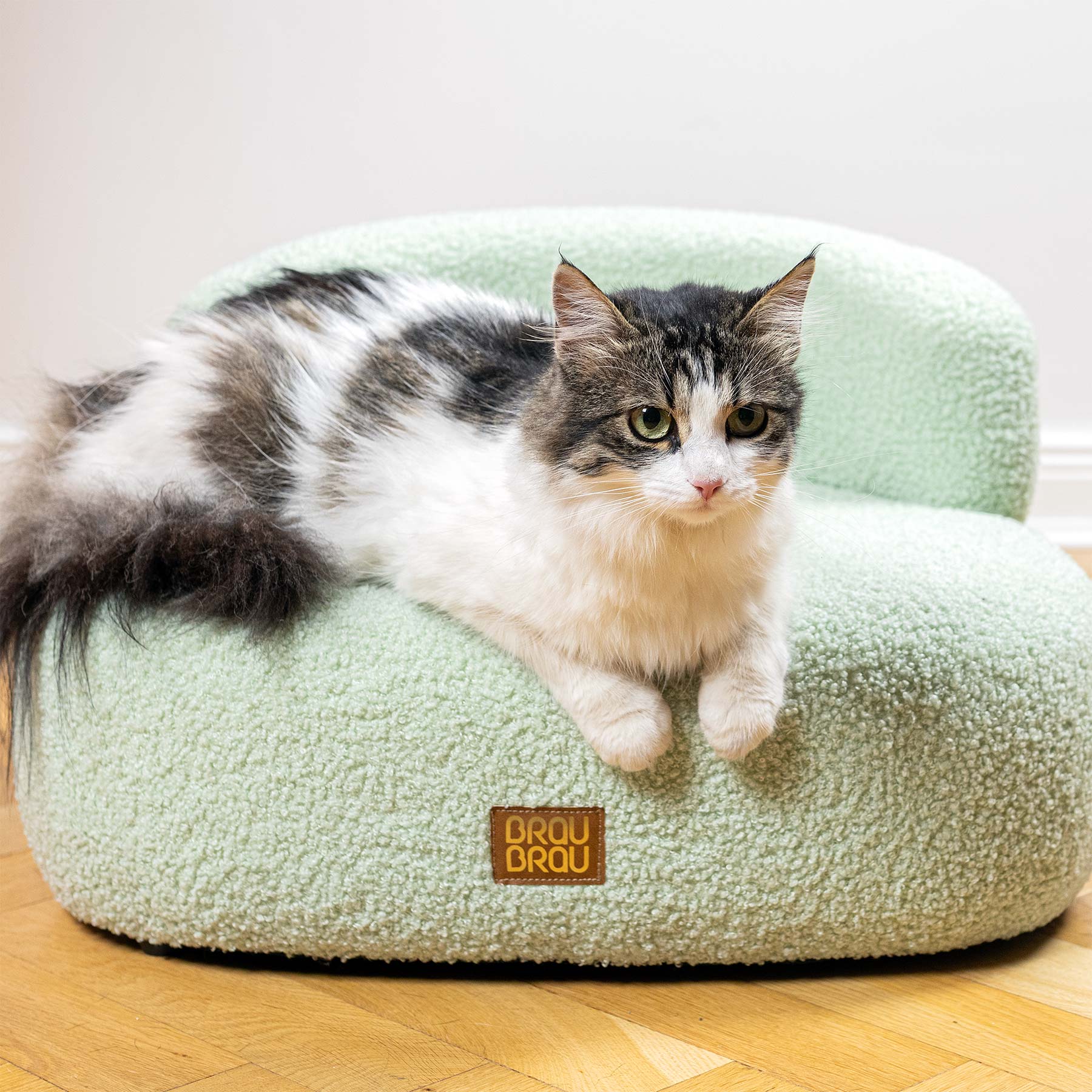 Green Sofa - Pastel Mint BRAUBRAU for Pets (Dogs and Cats)