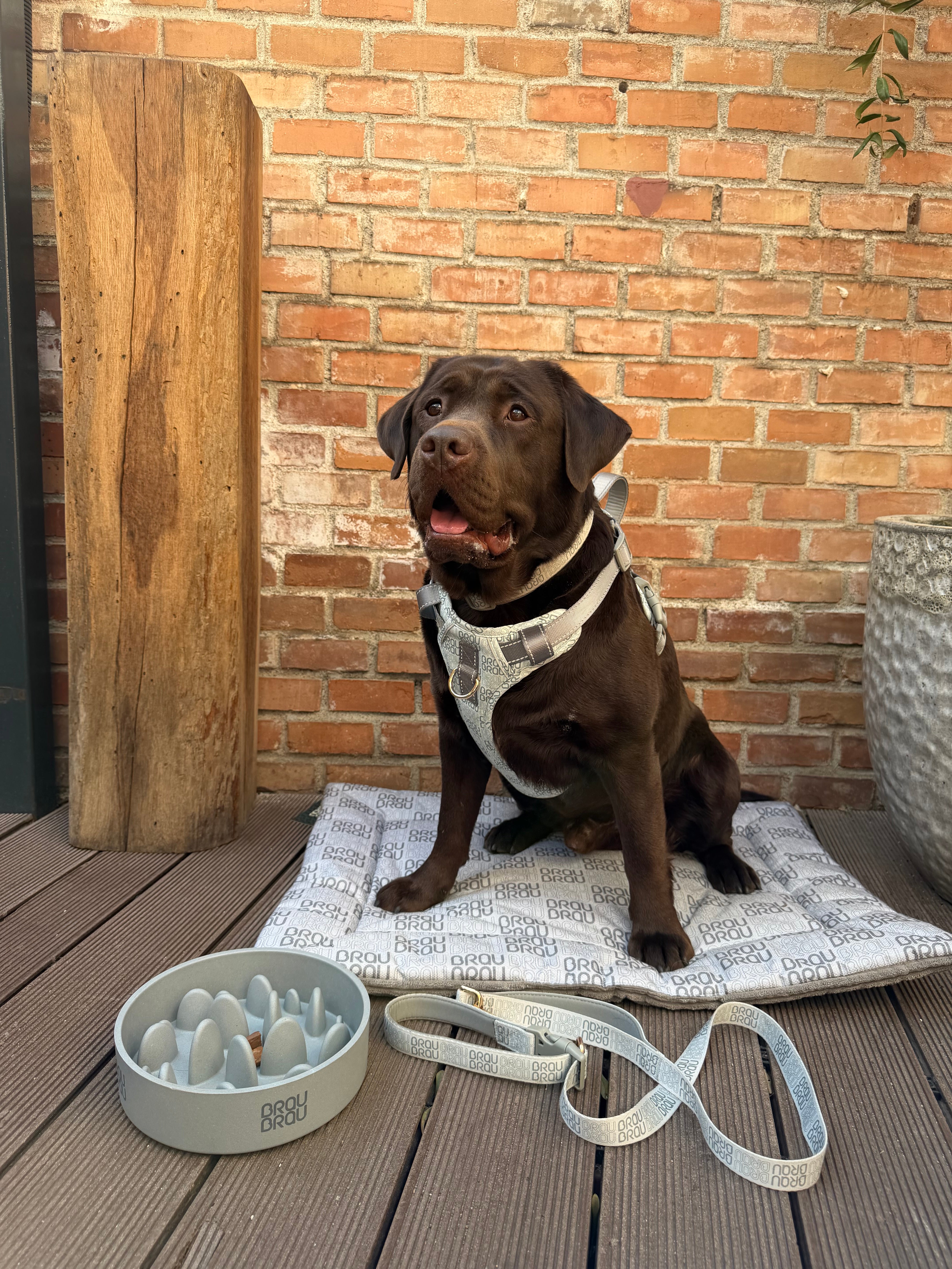 Grey Bed - Orthopedic Silk BRAUBRAU for Pets (Dogs and Cats)