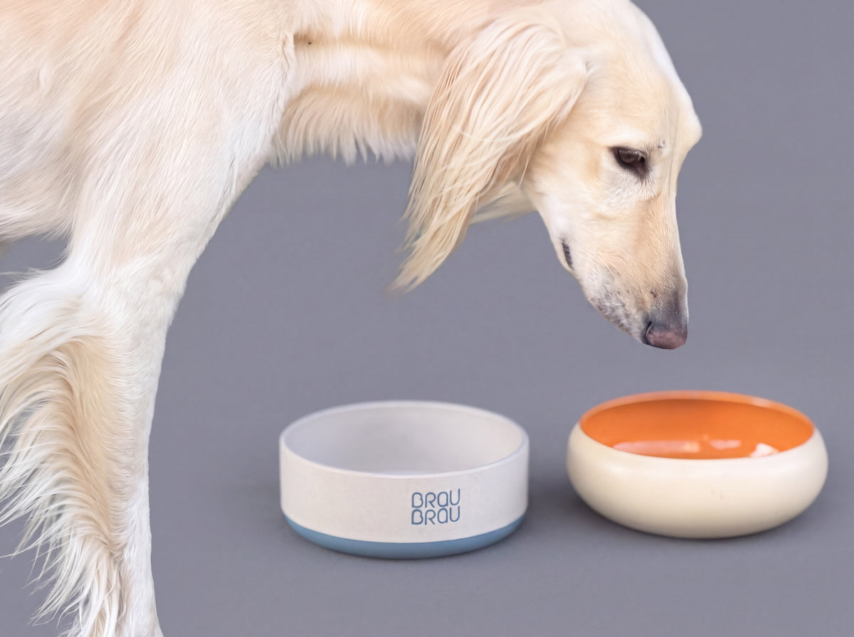 BRAUBRAU Blue Bowl for Pets (Dogs & Cats)