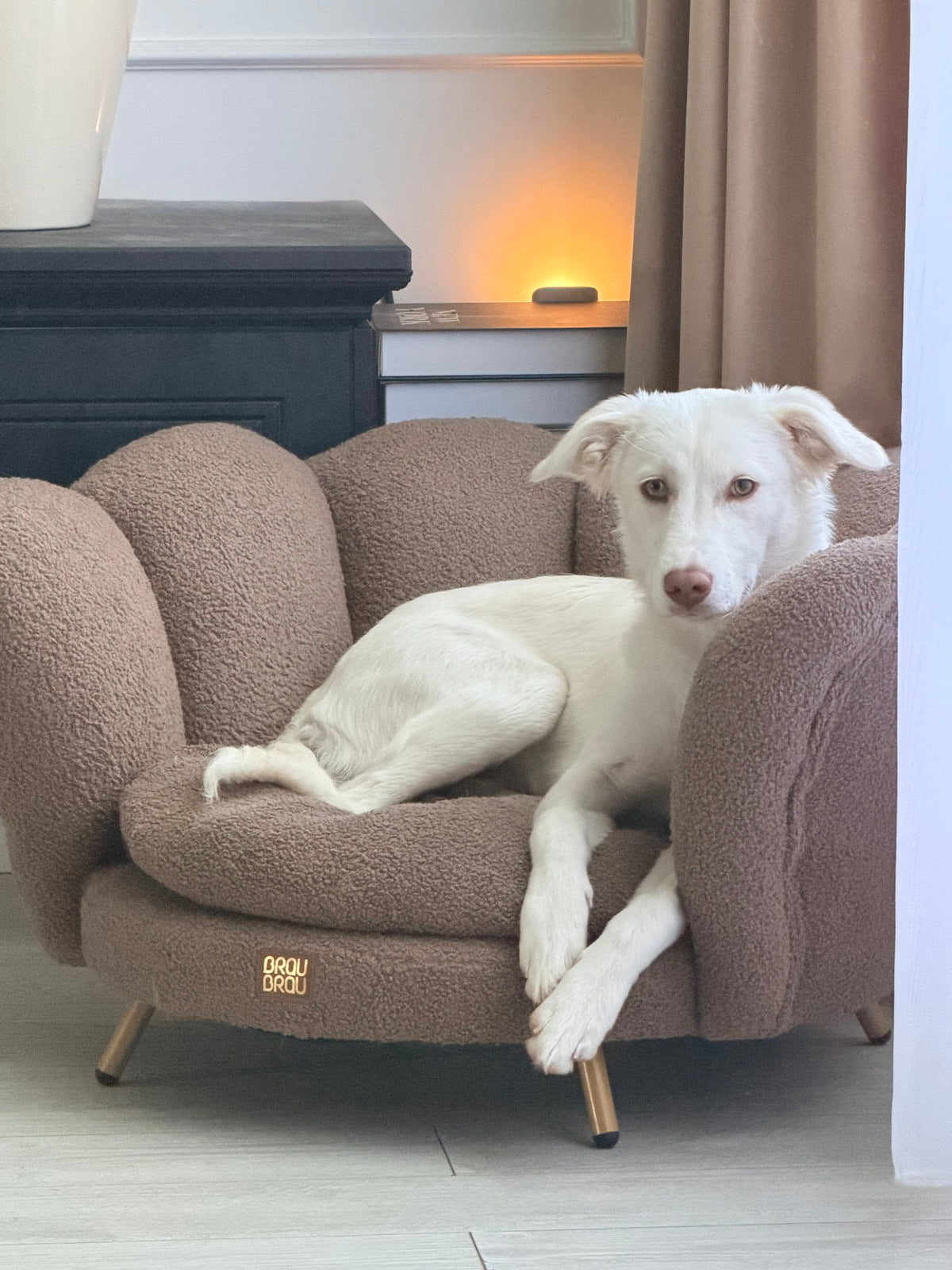 Brown Sofa - Cappucino Flower BRAUBRAU for Pets (Dogs and Cats)