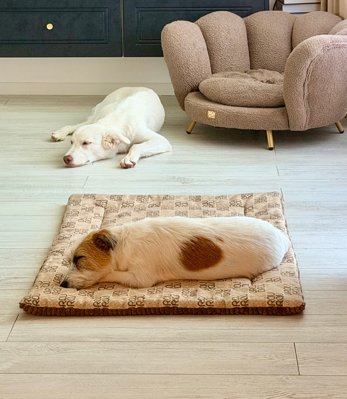 Grey Bed - Orthopedic Silk BRAUBRAU for Pets (Dogs and Cats)