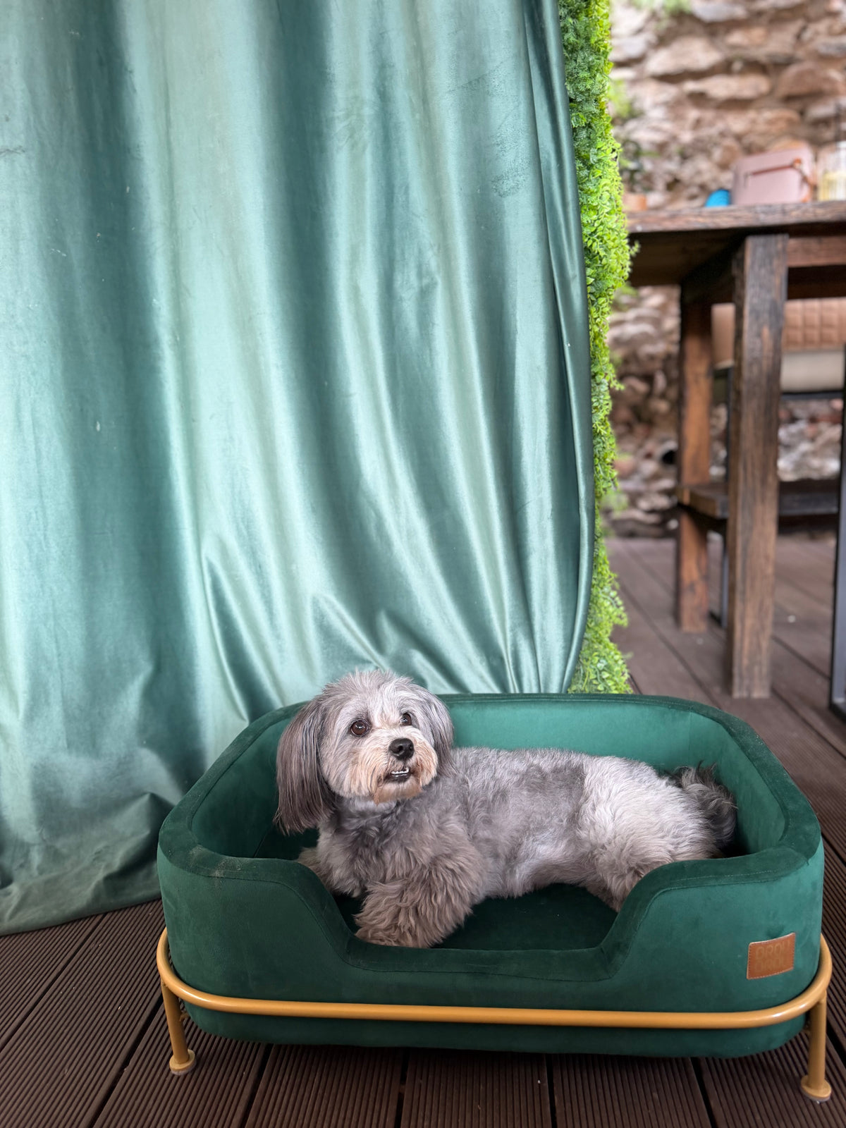 Green Sofa - Velvet Emerald BRAUBRAU for Pets (Dogs and Cats)