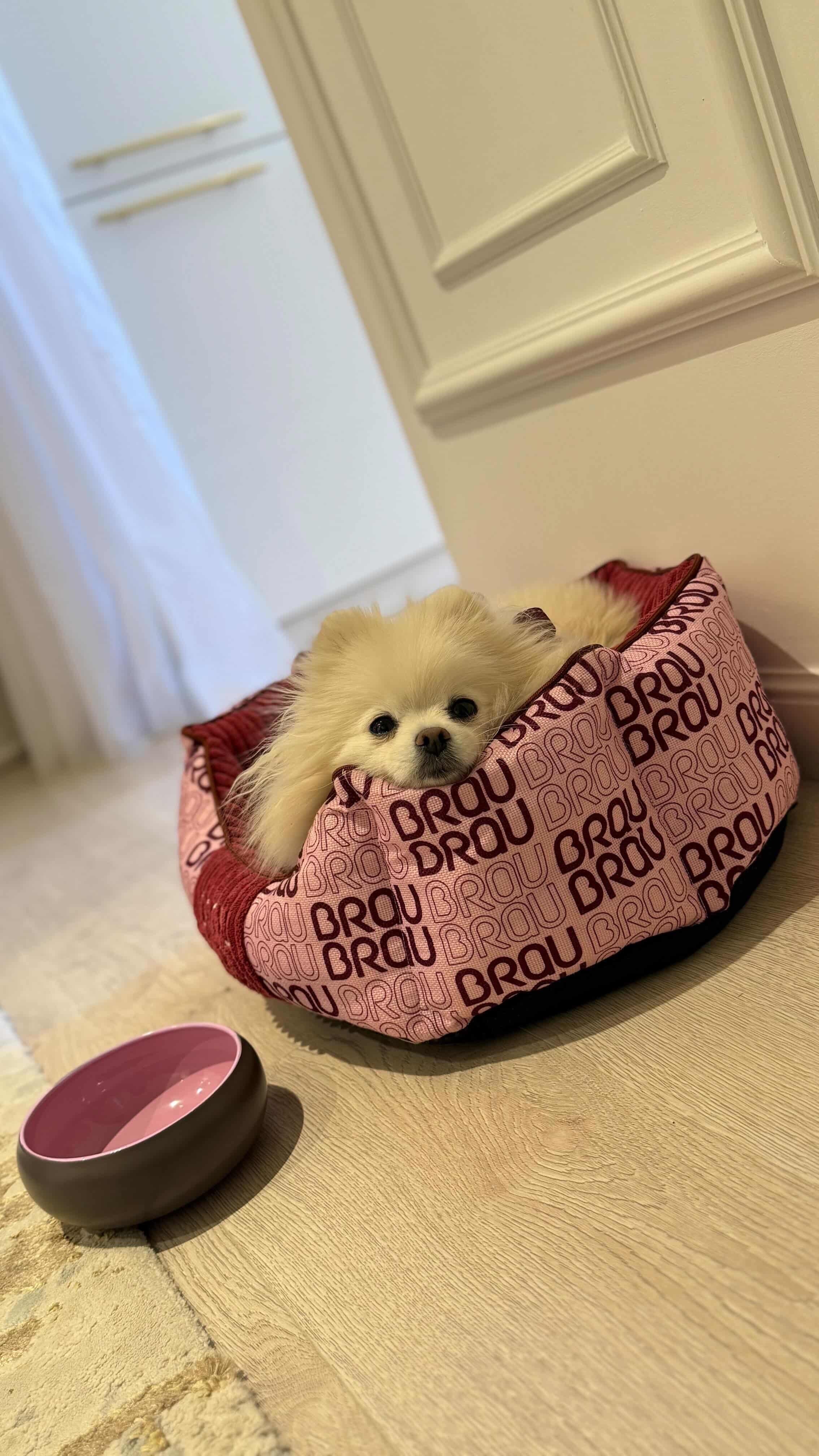 Grey Bed - Orthopedic Silk BRAUBRAU for Pets (Dogs and Cats)