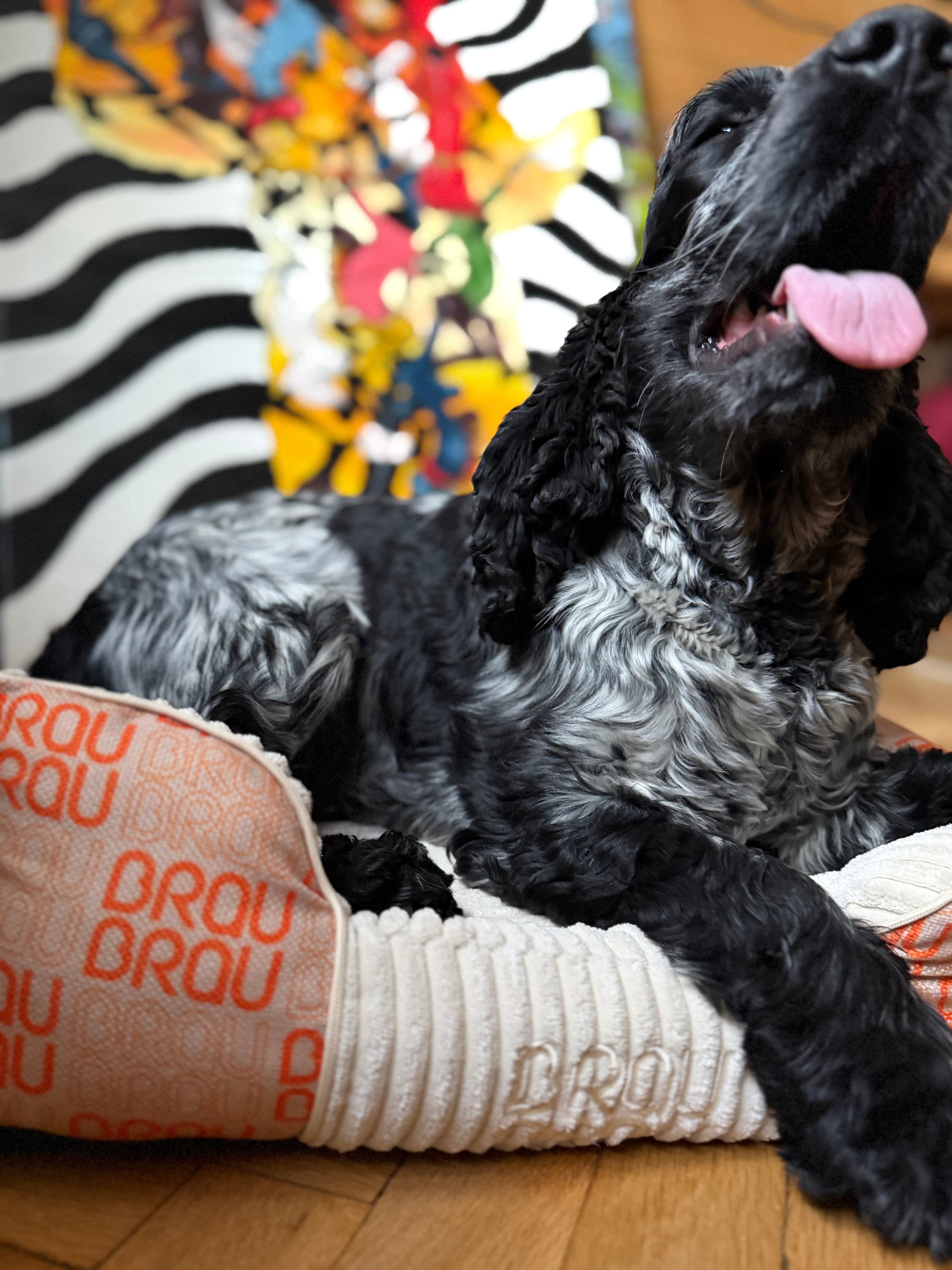 Grey Bed - Orthopedic Silk BRAUBRAU for Pets (Dogs and Cats)