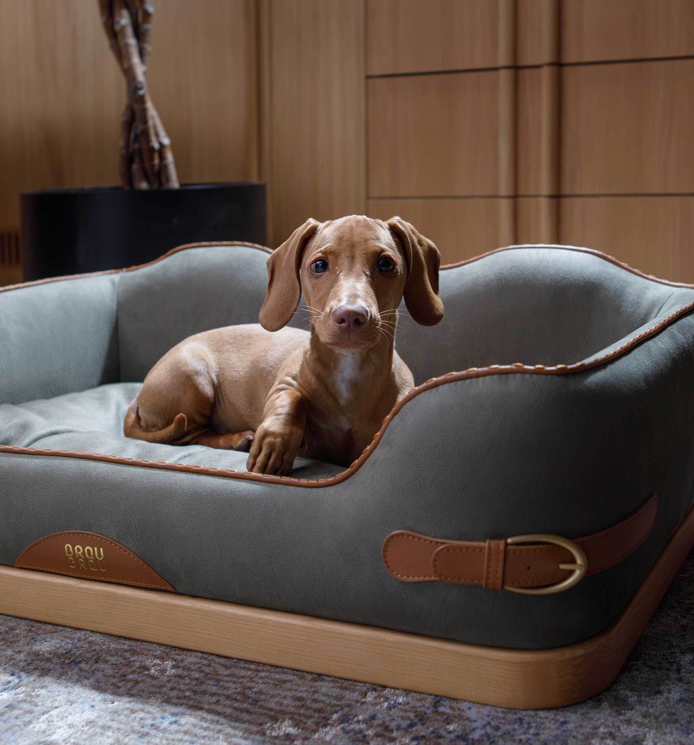 Pătuț Premium Double Strap Wooden Bed - BRAUBRAU pentru Animale de Companie (Câini și Pisici)