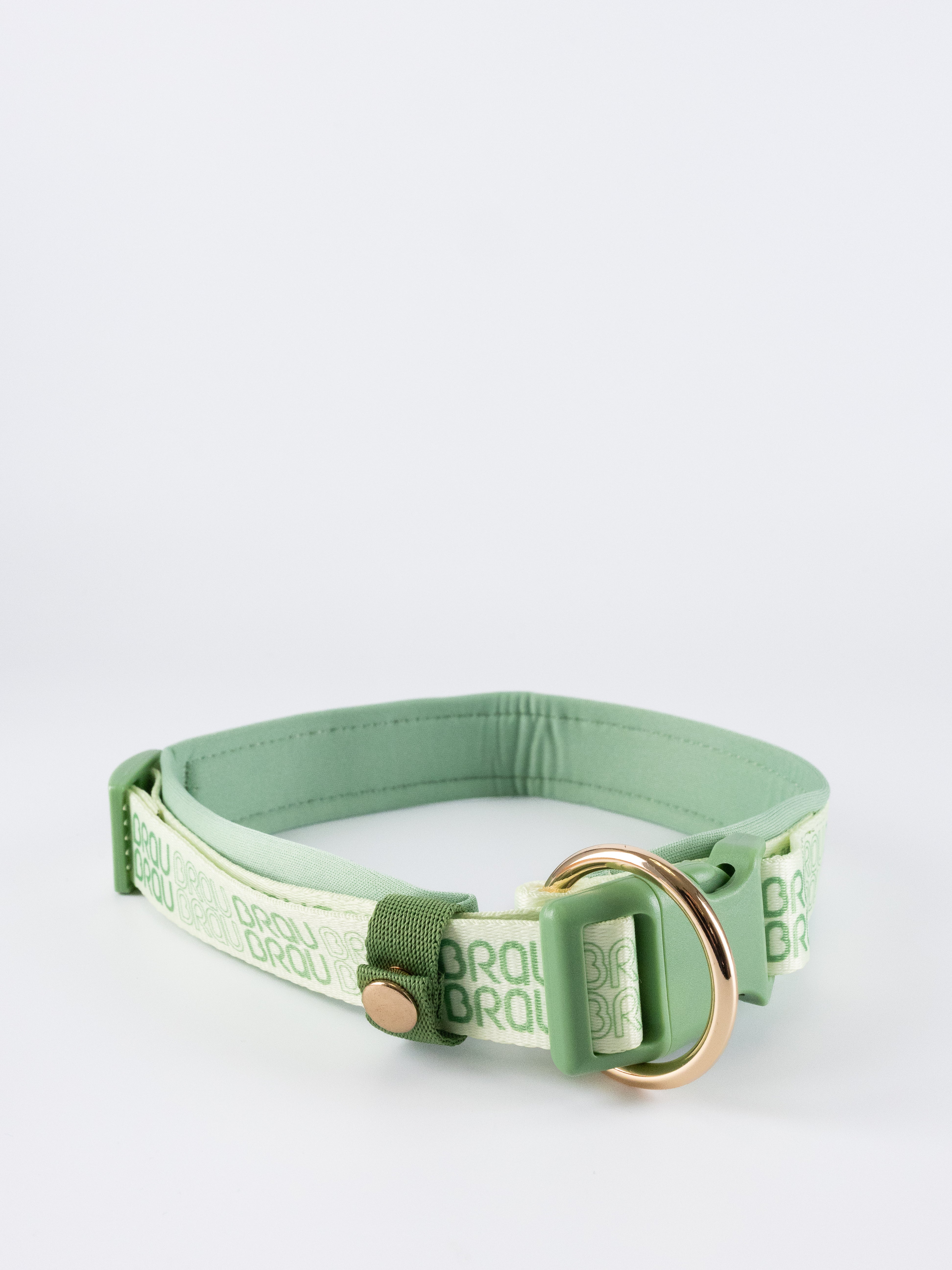 Signature Walk Set Verde (3 Bucăți) - Lesă, Zgardă, Ham Reglabile pentru câini