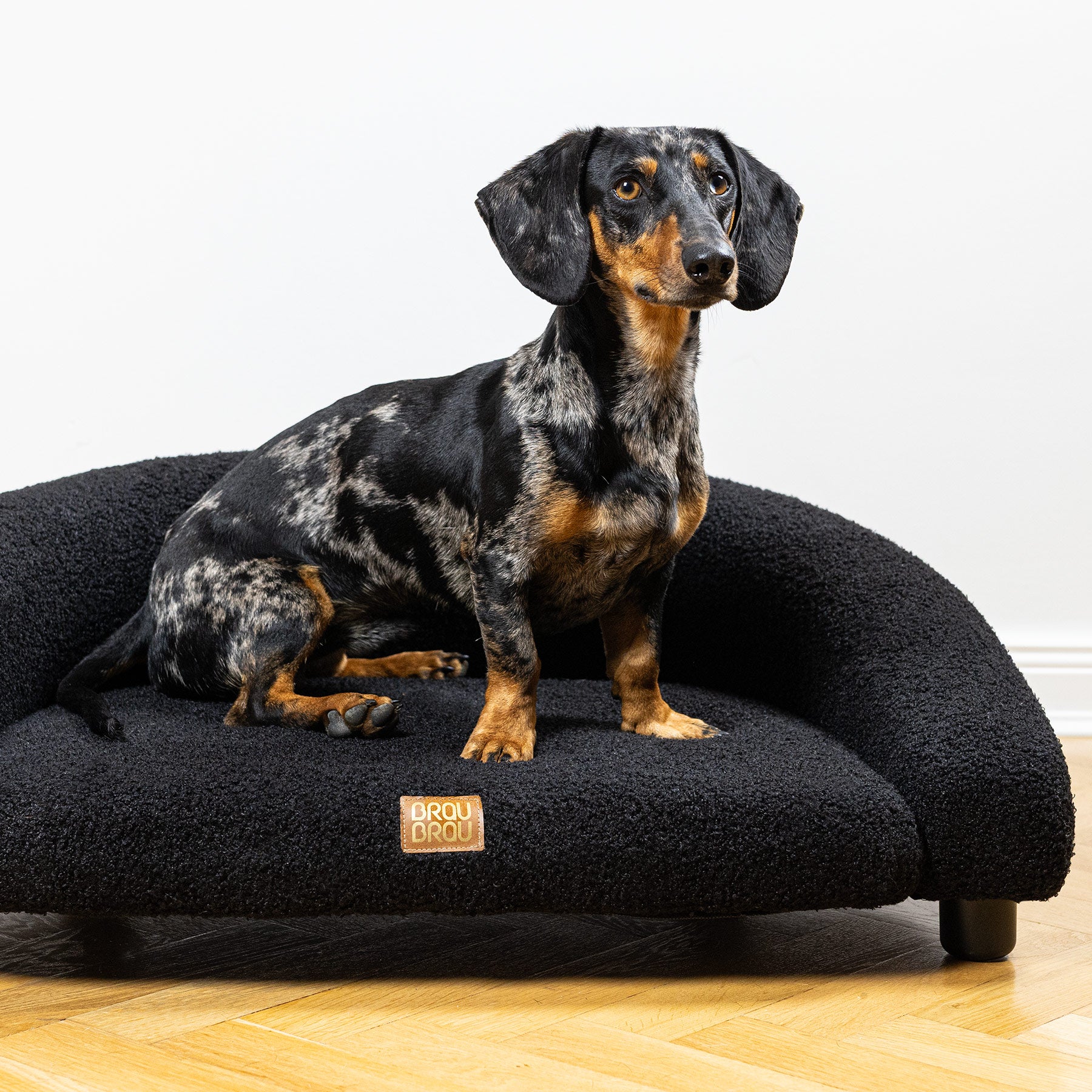Black Sofa - Noir BRAUBRAU for Pets (Dogs and Cats)