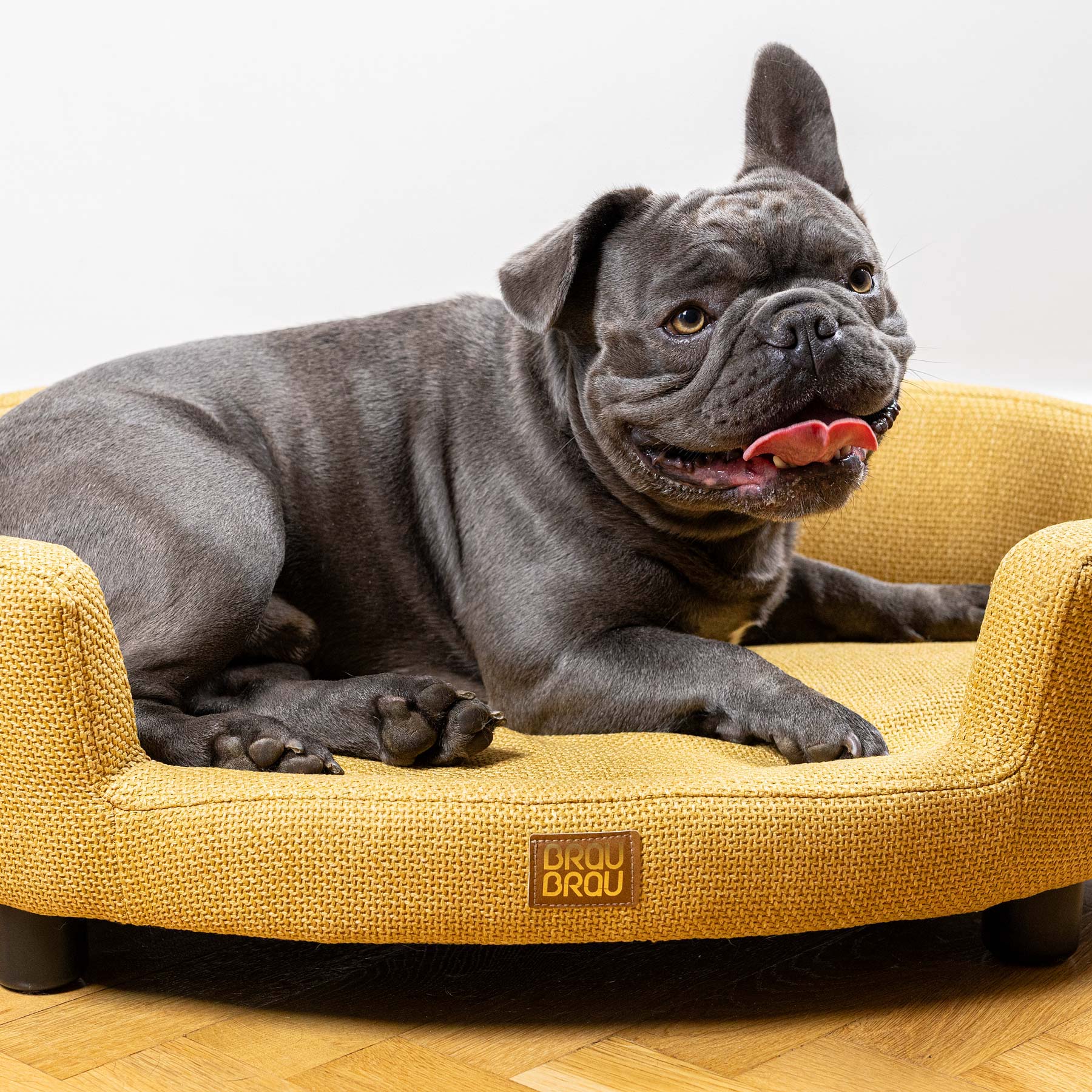 Yellow Sofa - Soleil BRAUBRAU for Pets (Dogs and Cats)