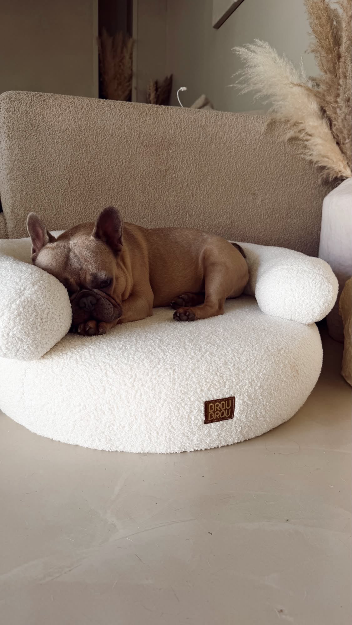 Beige Curved Sofa - Boucle Beige BRAUBRAU for Pets (Dogs and Cats)