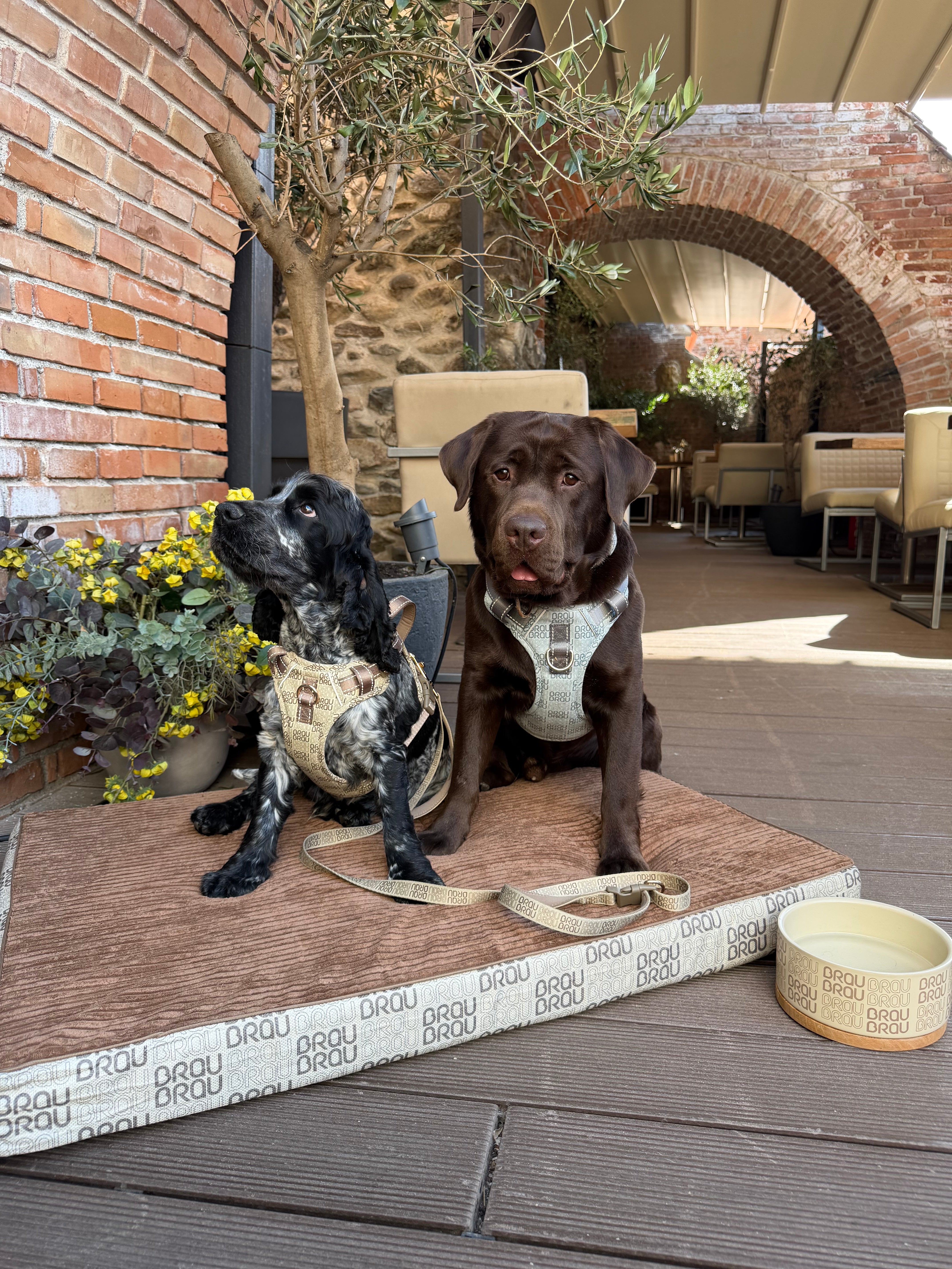 Grey Bed - Orthopedic Silk BRAUBRAU for Pets (Dogs and Cats)