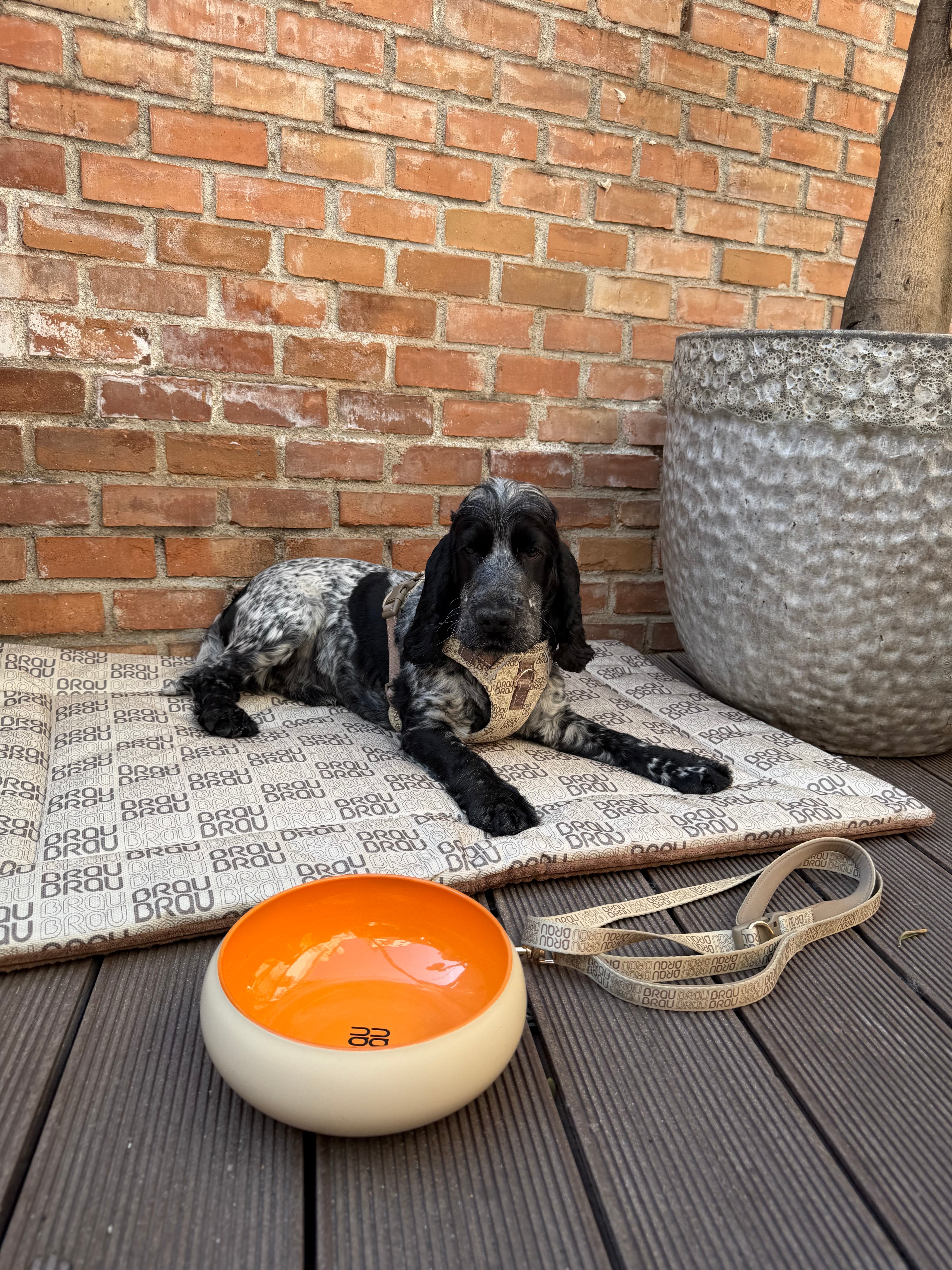 Grey Bed - Orthopedic Silk BRAUBRAU for Pets (Dogs and Cats)