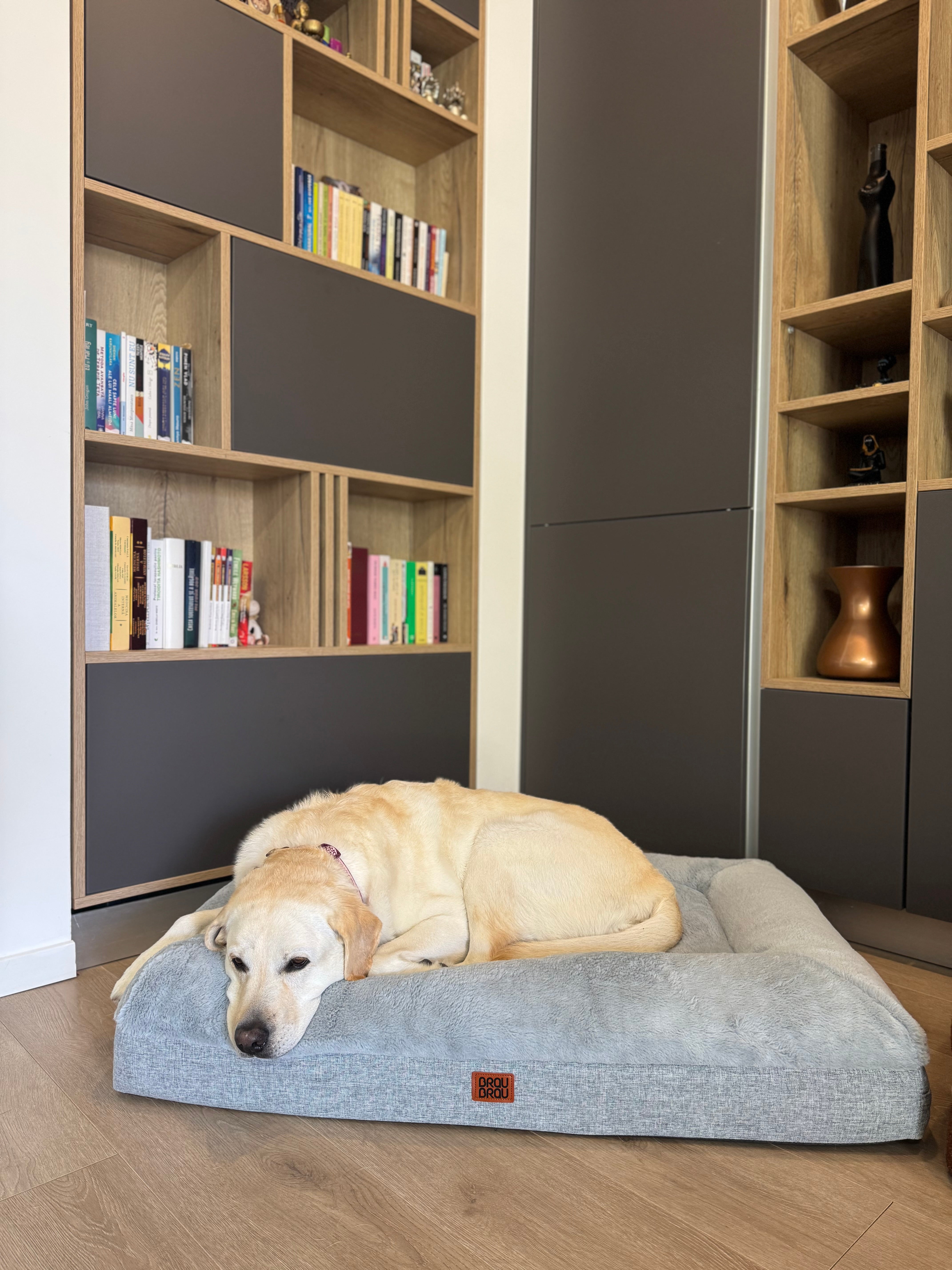 Grey Bed - Orthopedic Silk BRAUBRAU for Pets (Dogs and Cats)