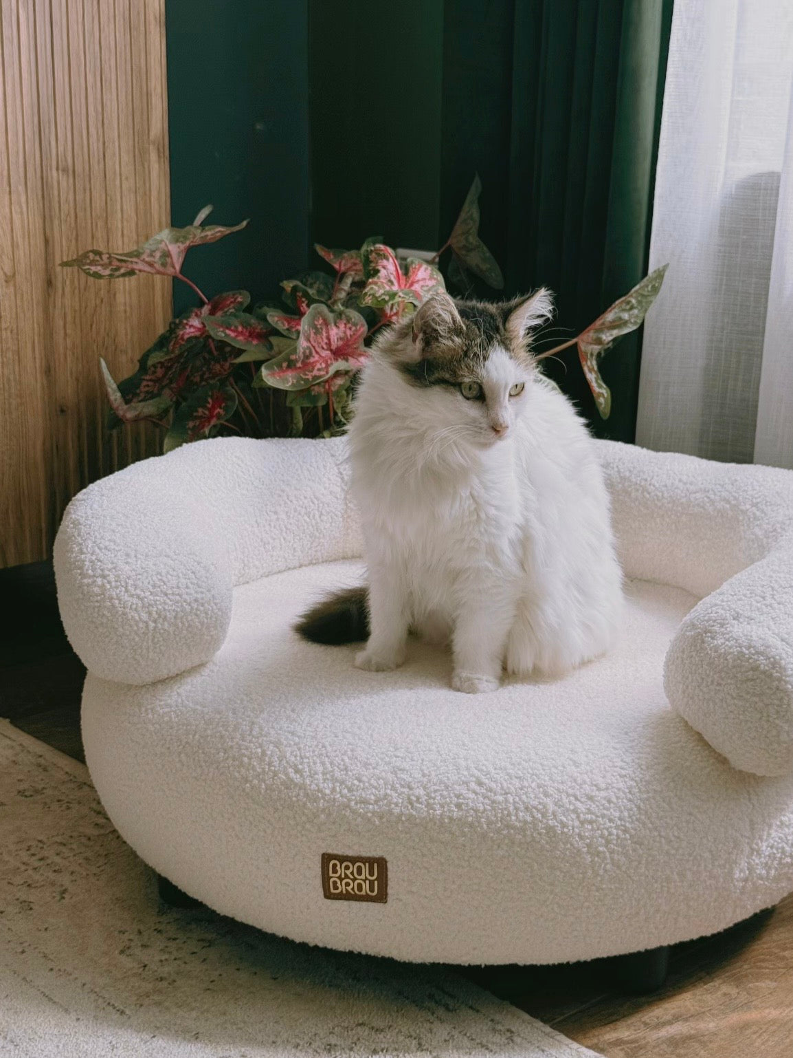 Beige Curved Sofa - Boucle Beige BRAUBRAU for Pets (Dogs and Cats)