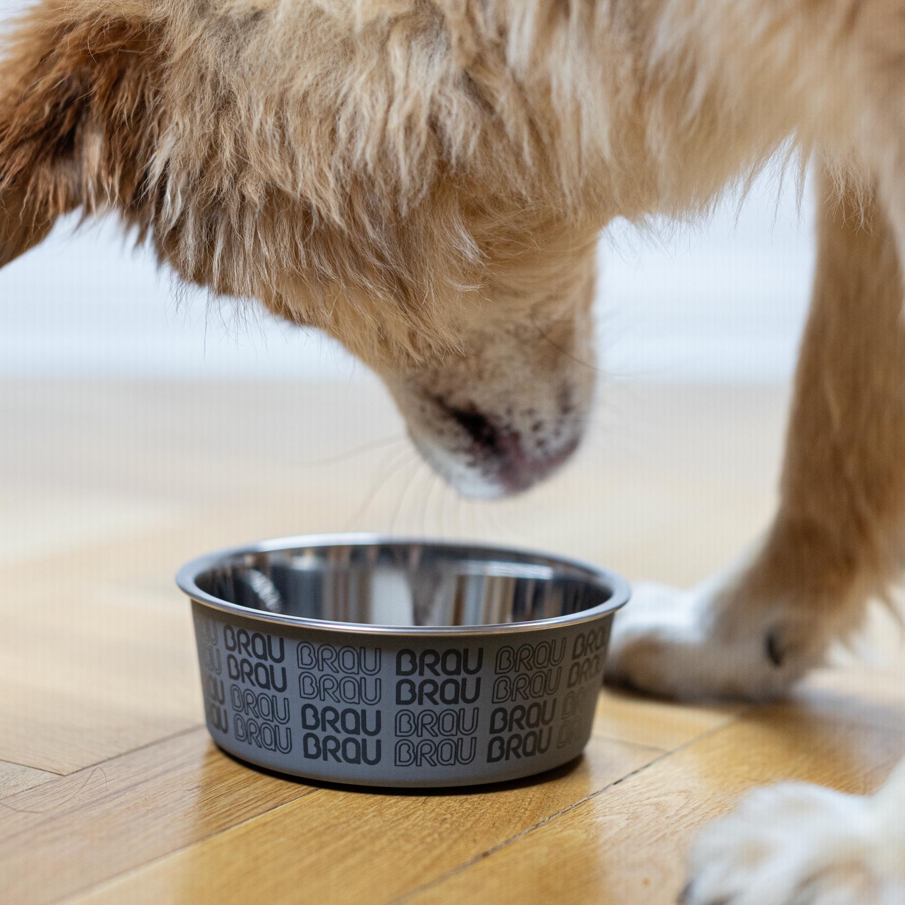 BRAUBRAU Grey Pet Bowl Set (Dogs &amp; Cats)