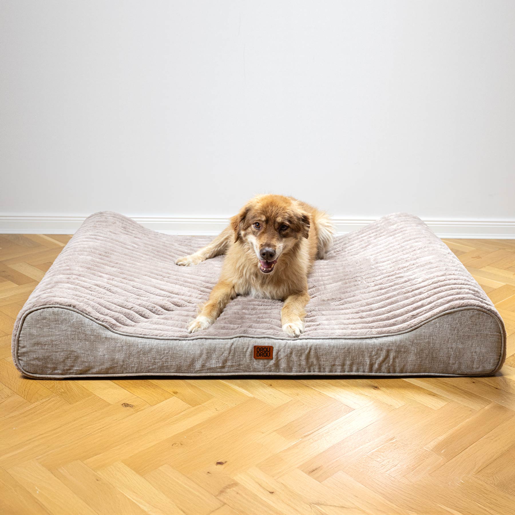 Beige Bed - Relaxa Beige BRAUBRAU for Pets (Dogs and Cats)