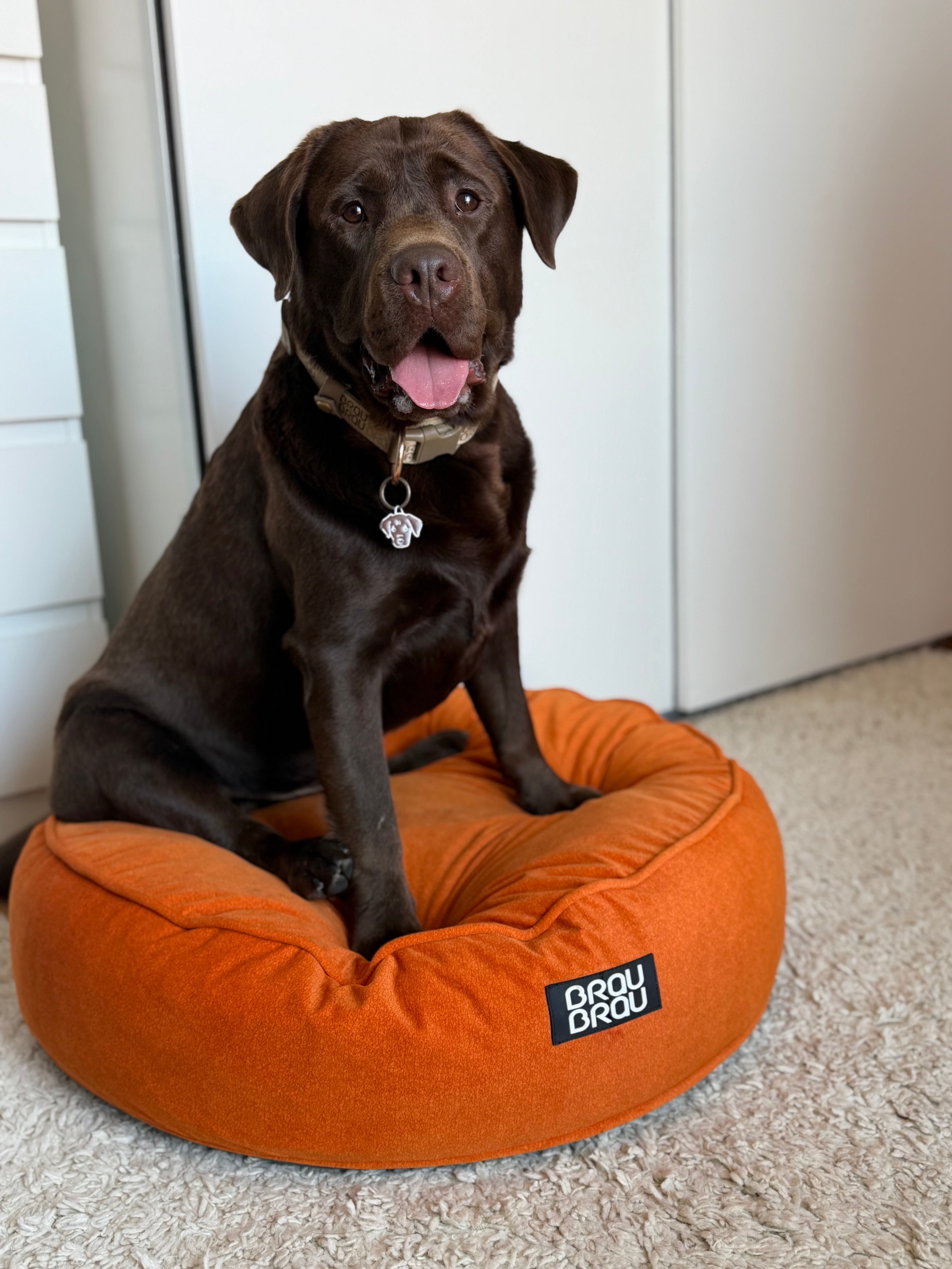 Orange/Green Cushion - Rotonda BRAUBRAU for Pets (Dogs and Cats)