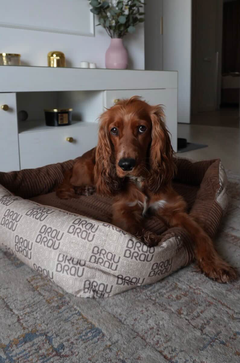 Grey Bed - Orthopedic Silk BRAUBRAU for Pets (Dogs and Cats)